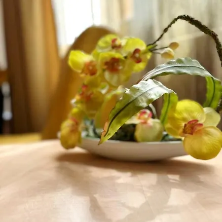 Guest house Andreea 3*