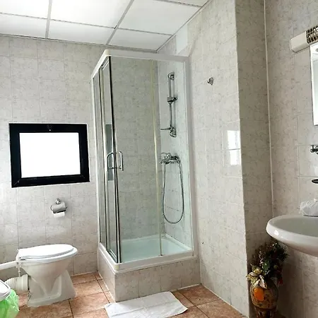 Guest house Andreea 3*