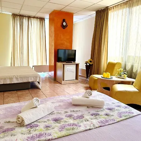 Andreea Guest house