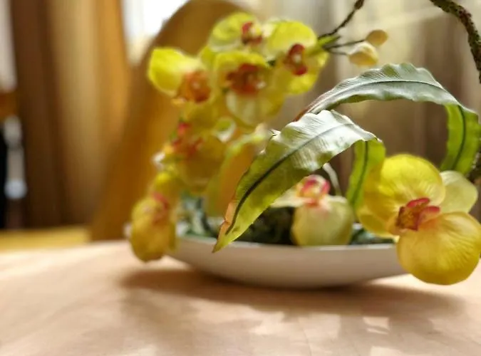 Гостьовий будинок Andreea 3*